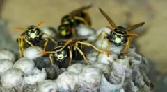 Metody i sprzęt zapasowy